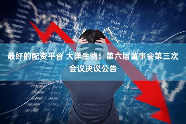 最好的配资平台 大洋生物：第六届董事会第三次会议决议公告